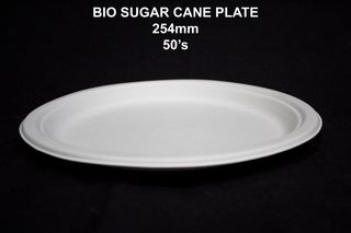Sugar-cane-plate-254mm