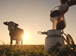 Dairy-crate Dairy-crate