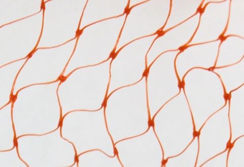 Fruit--vege-produce-bags-vege-net-close-up Fruit--vege-produce-bags-vege-net-close-up
