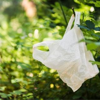 Plastic-bag