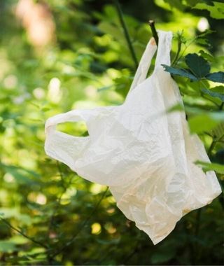 Plastic-bag-image
