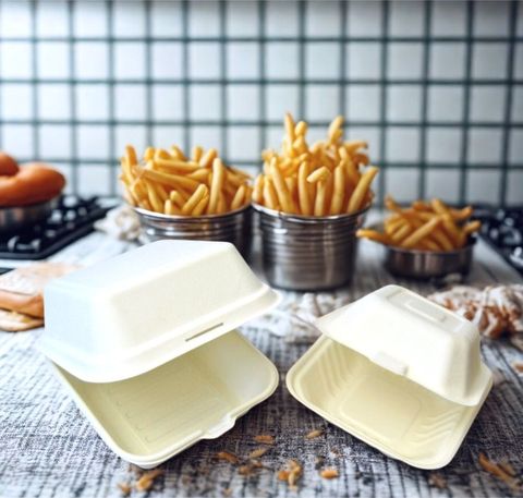 Bio-burger-box-large-medium-square