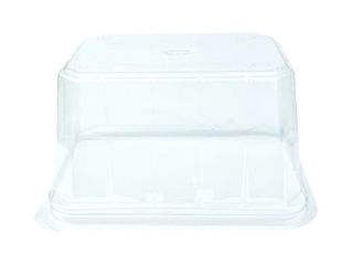 the-swiss-roll-high-dome-clear