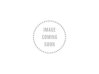 icon-image-coming