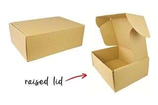 10kg-meat-box-with-raised-lid