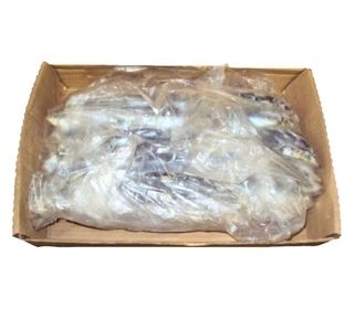 Foilene-sheets-with-wrapped-fish