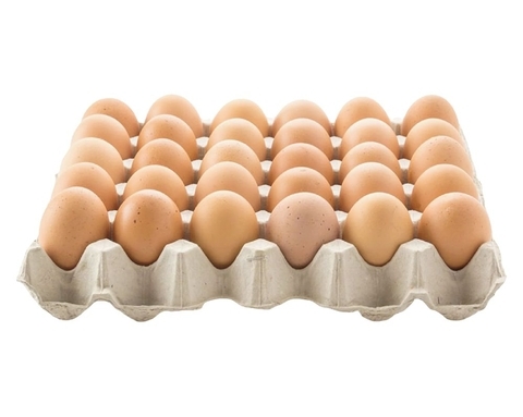30-cell-moulded-pulp-biodegradable-egg-tray-with-eggs