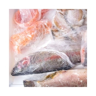 Foilene-sheets-wrap-fish-to-pack